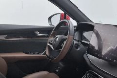 2020 BYD Tang PHEV 2021 2.0T AT DM 4WDHigh PerformanceHonor #23