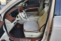 2025 Ora Good Cat 2024 401km Luxury #9