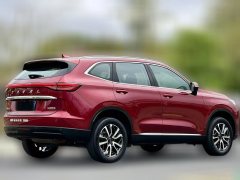 2021 Haval H6 2021 1.5T AT No.3generation2WDPro #5