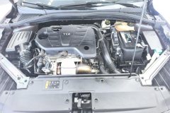 2021 MG MG5 2021 300TGI DCTGreen luxuryEdition #10