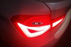 Left Rear Taillight Assembly