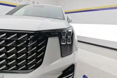 2025 GAC Trumpchi Trumpchi GS8 2025 PilotSeries 2.0TGDI AT 2WDLuxury 5Seat #5