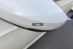 Left Exterior Mirror