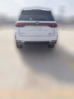 2019 Chang'an CS95 2019 2.0T AT Luxury FWD #9