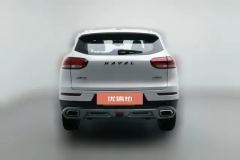 2020 Haval H6 2020 1.5T AT PlatinumChampion #4