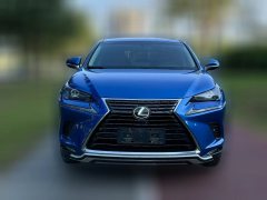 2019 Lexus NX 2019 300h AT Million Limited Edition (Import) China VI #2