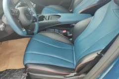 2022 BYD Dolphin 2021 401km knightEdition #9