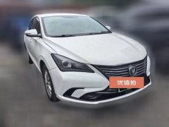 2021 Chang'an Eado EV 2019 EV460Smart EV #2