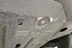 Engine Under Cover