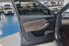 2025 GAC Trumpchi Trumpchi GS4 2024 MAX 1.5T Pilot #7