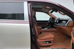 2022 Tank 500 2022 3.0T AT high-endCustom 5Seat #22