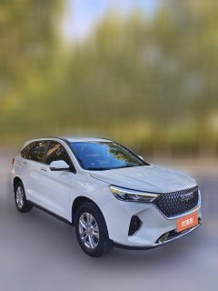 2024 Haval M6 2021 PLUS 1.5T AT DCTLiu Yan joint nameEdition #2