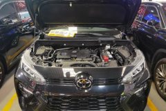 2023 Toyota Wildlander 2023 2.0L AT CVT2WDLuxuryPLUSEdition #10