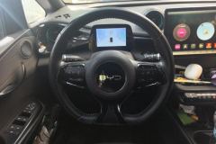 2024 BYD Dolphin 2025 420km Fashion #15