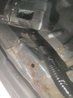 Left Rear Floor Sound Seal