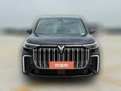 2022 Voyah Dreamer 2022 0carbonEdition Home 475km #2