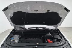 2019 Haval H6 2019 1.5T AT SportElite FWD China VI #7