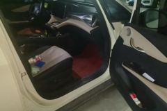 2023 BYD Dolphin 2023 420km Fashion #8
