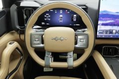 2024 Fangchengbao Bao8 2025 ZhiyongFlagship 6Seat #15