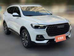 2024 Haval H6 2023 China tideEdition 1.5T AT Champion #3