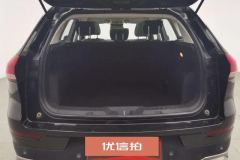 2021 Haval H6 2021 1.5T AT Champion #20