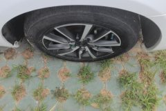 2019 Geely Auto Emgrand Sedan 2019 1.5 AT leaderEditionupConnected China VI #6