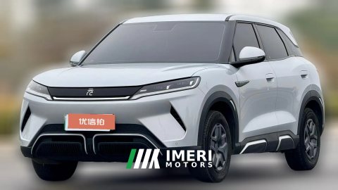 2024 BYD Yuan UP 2024 401KM vitalityEdition