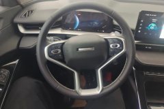 2023 Haval H6 2022 No.3generation 1.5T AT 2WDPro #15