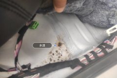 Right Rear Carpet