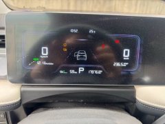 2023 Geometry E Firefly 2024 301km starlight #7