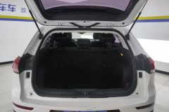 2019 Haval H6 2019 1.5T AT Red LabelChampion #4