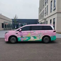 2025 BYD Xia 2025 DM-i 1.5T AT 180km excellence #4