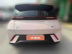 2024 BYD Seagull 2023 vitalityEdition #10