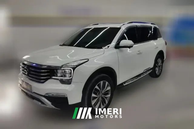 2019 GAC Trumpchi Trumpchi GS8 2017 2.0T AT 320T 2WDLuxurySmart Connect（7Seat）