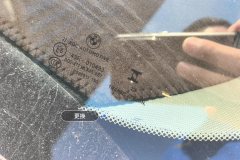 Windshield