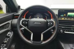 2022 Haval Chitu 2021 1.5T AT ProvokingEdition Platinumrabbit #15