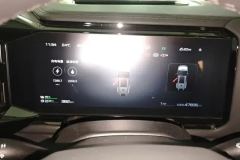2024 Fangchengbao Bao8 2025 ZhiyongFlagship 7Seat #14
