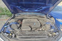 2022 BMW 3 Series 2022 2.0T AT 330Li xDrive MM Sport Shadow #10