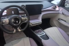 2021 BYD Dolphin 2021 401km knightEdition #12