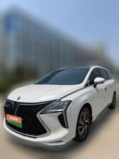 2022 Dongfeng Fengxing Fengxing Youting 2022 1.5T AT DCTChase the wavesEdition #1