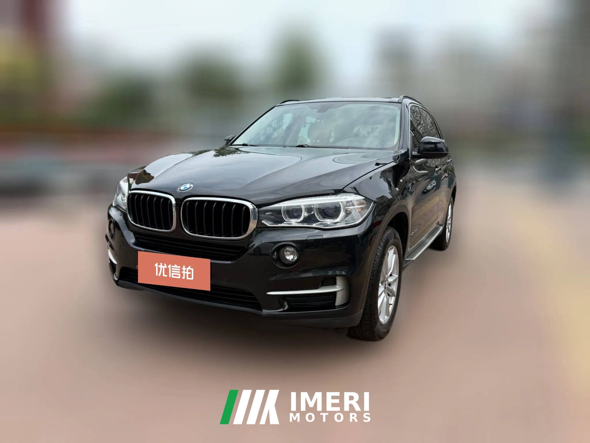 2015 BMW X5(Imported)(Imported) 2014 3.0T AT 35iLeading (Imported)
