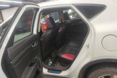 2020 Geely Auto Emgrand GS 2020 1.4T AT elegant #11