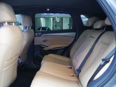 2024 BYD Song L DM-i 2024 1.5L AT 112km Surpass #8