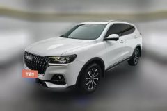 2023 Haval H6 2023 China tideEdition 1.5T ATUrbanEdition #1
