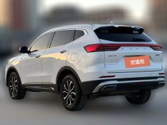 2023 Haval H6 2023 China tideEdition 1.5T AT Champion #7