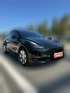 2021 Tesla Model Y 2021StandardBattery lifeRWDEdition #2