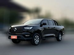 2021 Great Wall Great Wall Pao 2021 2.0T CommercialEdition AT Diesel2WDElitelong boxGW4D20M #1