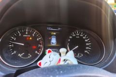 2016 Nissan Qashqai 2016 2.0 AT Elite #14