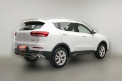 2019 Haval H6 2019 1.5T AT GDIChampion China VI #2