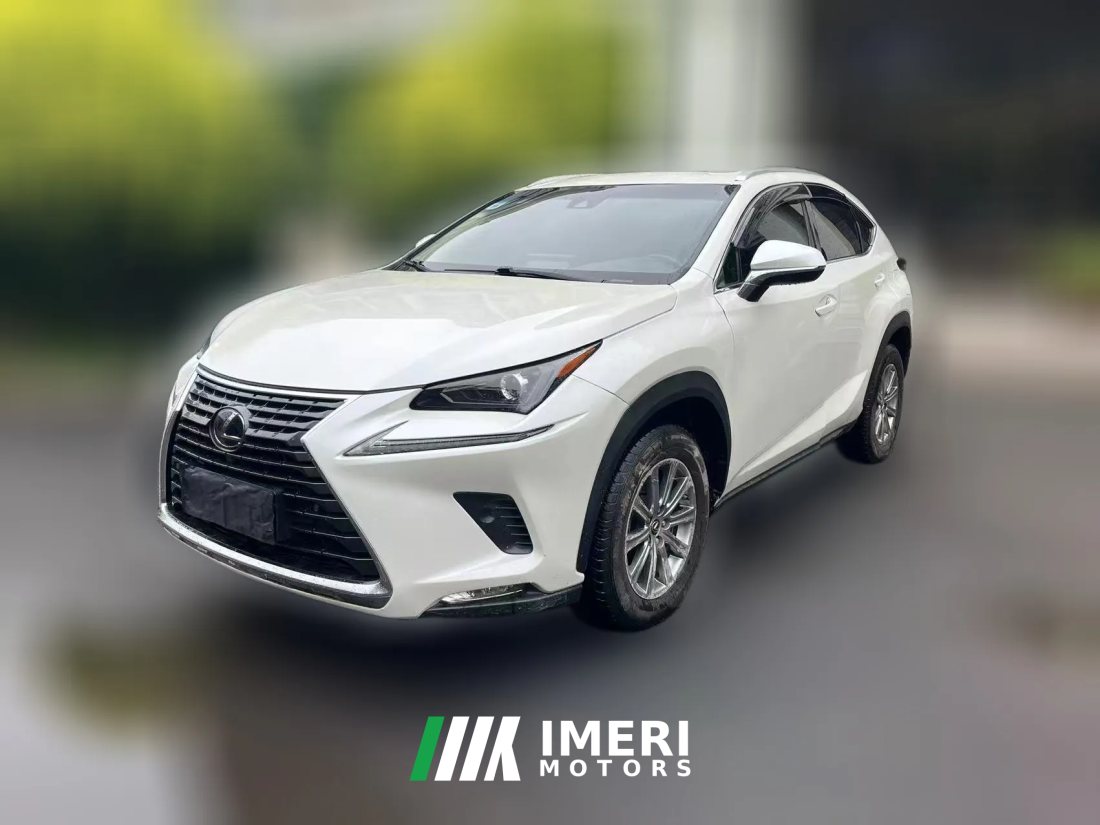 2020 Lexus NX 2020 2.5L AT 300h FWDFeng ShangEdition China VI (Imported)